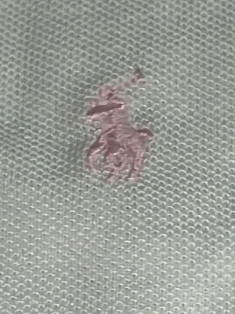 Ralph Lauren Polo Knit Top Sz 24 Months New